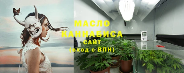дмт Пересвет