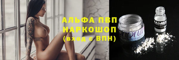 apvp Алзамай