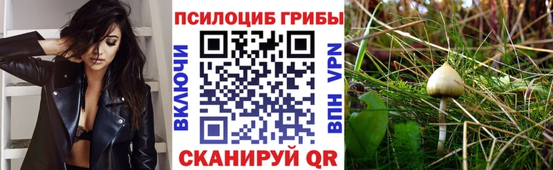 купить наркотик  Боровичи  Галлюциногенные грибы ЛСД 