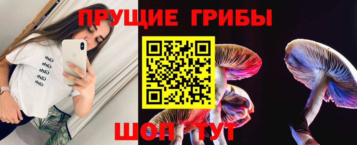 Боровичи  Псилоцибиновые грибы GOLDEN TEACHER  Вход с VPN 